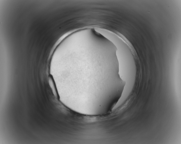 X0000083580956200703091656