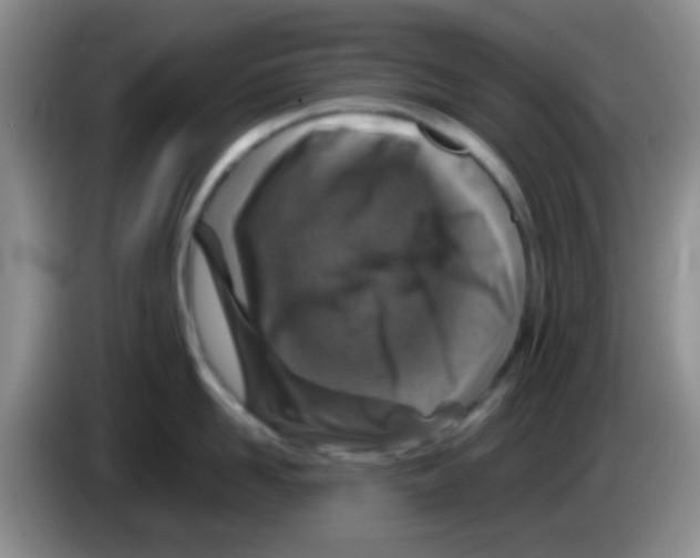 X0000083580958200703091656