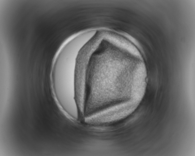 X0000083580959200703091656
