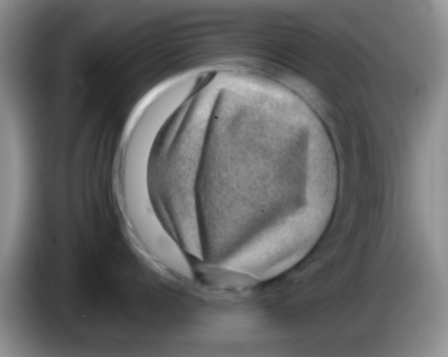 X0000083580960200703091656