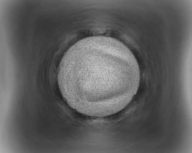 X0000083580961200703091655
