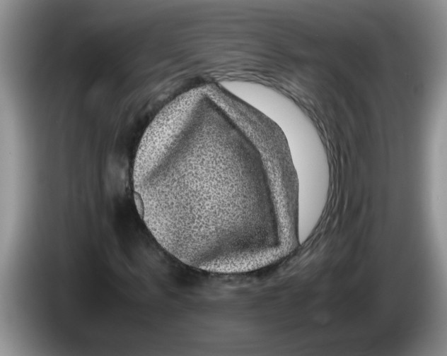 X0000083580963200703091655