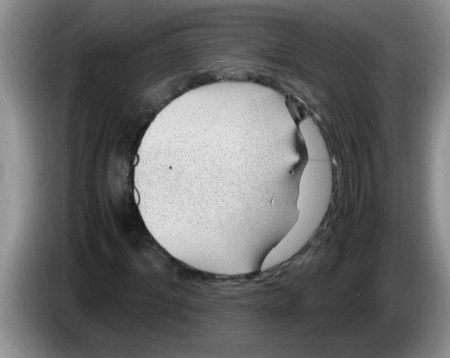 X0000083580964200703091655