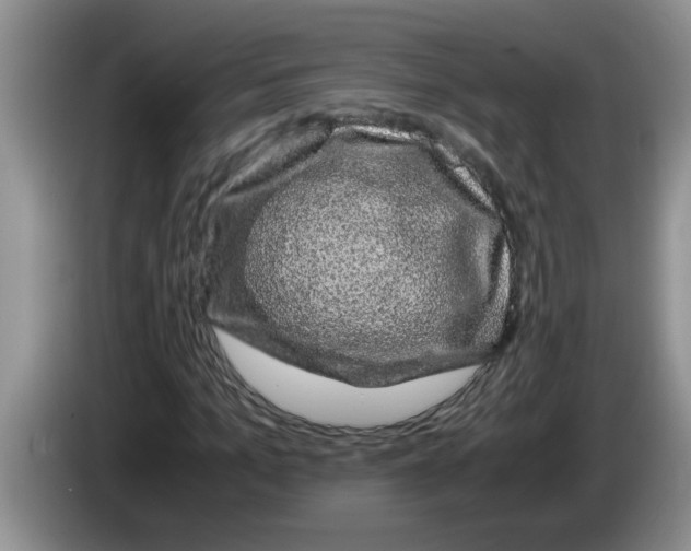 X0000083580965200703091655