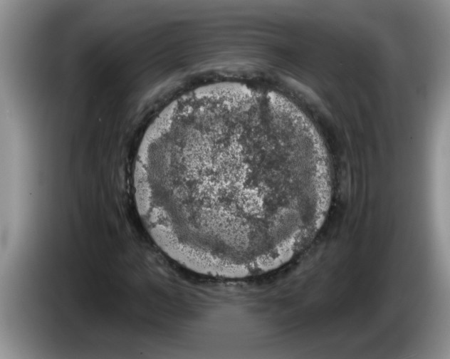 X0000083580966200703091655