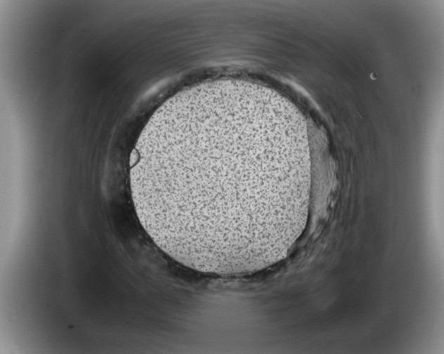 X0000083580967200703091655