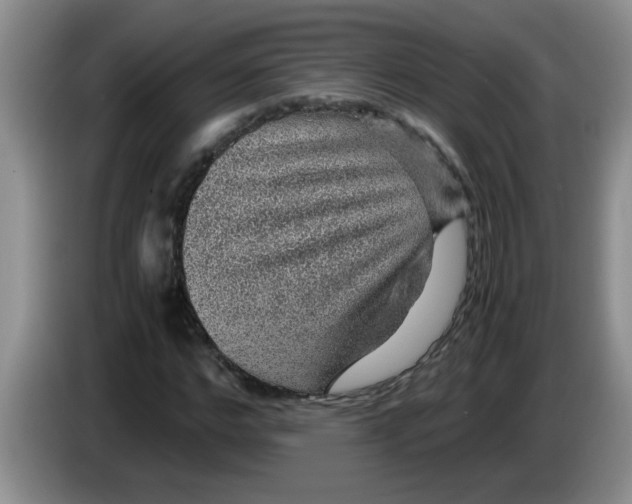 X0000083580968200703091655