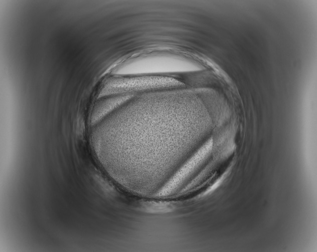 X0000083580969200703091655