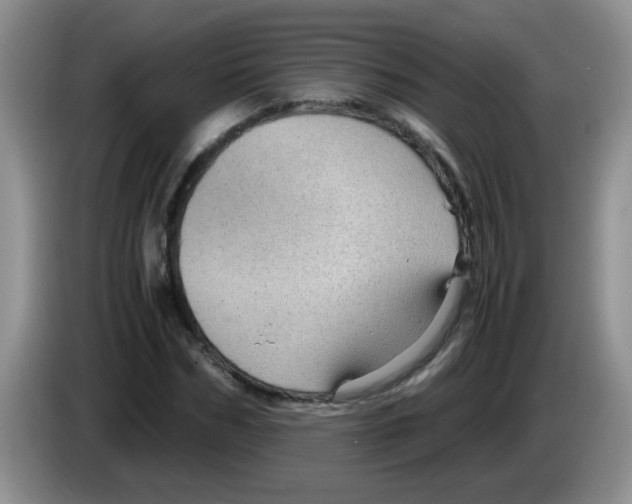 X0000083580970200703091655
