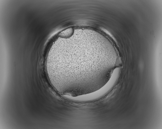 X0000083580971200703091655