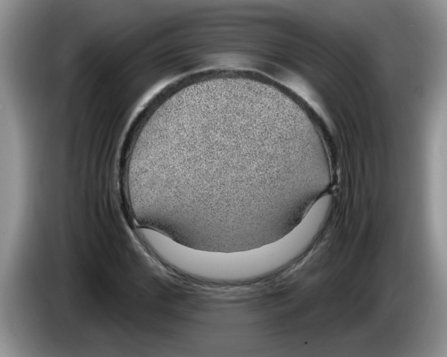 X0000083580972200703091655