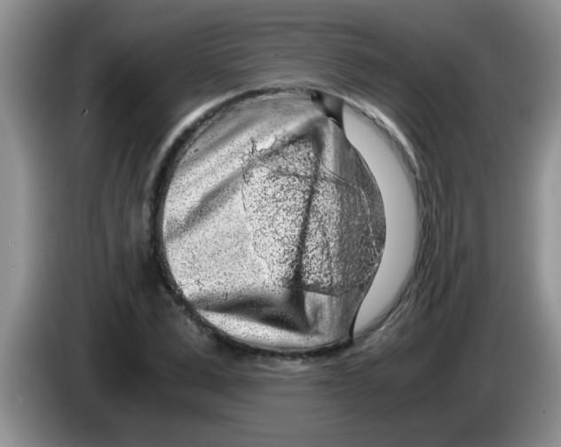 X0000083580975200703091655