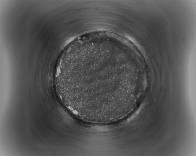 X0000083580977200703091655