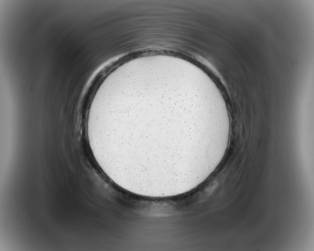 X0000083580979200703091655