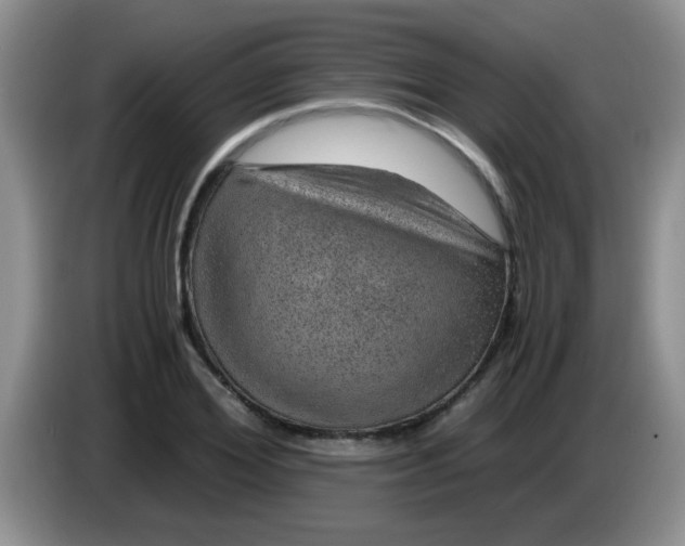 X0000083580980200703091655