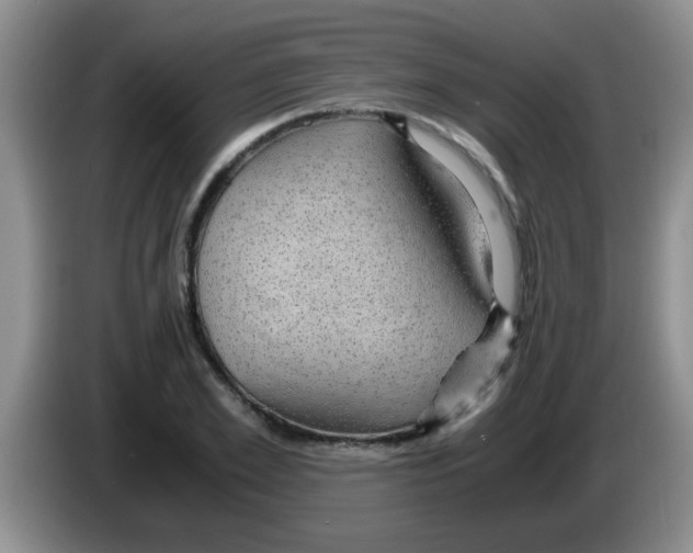 X0000083580981200703091655