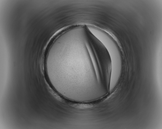 X0000083580984200703091655