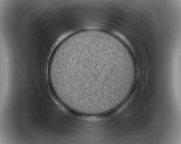 X0000083580986200703091655