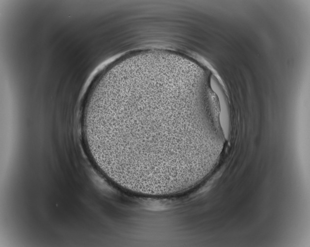 X0000083580987200703091655
