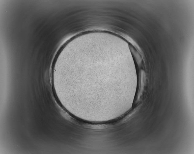 X0000083580988200703091655
