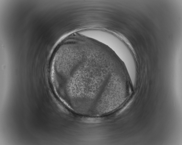 X0000083580989200703091655