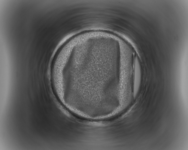 X0000083580990200703091655
