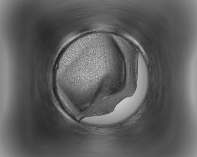 X0000083580991200703091655