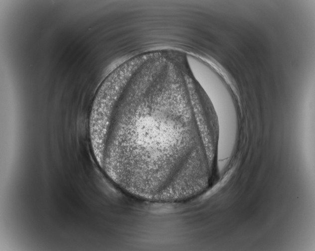 X0000083580993200703091655