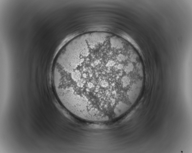 X0000083580994200703091654