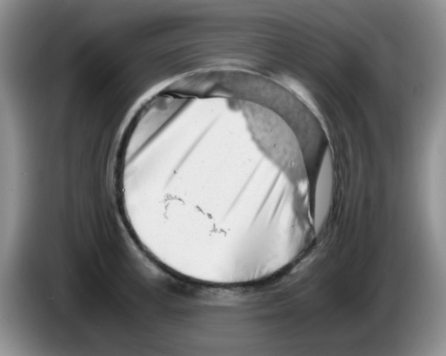 X0000083580995200703091654