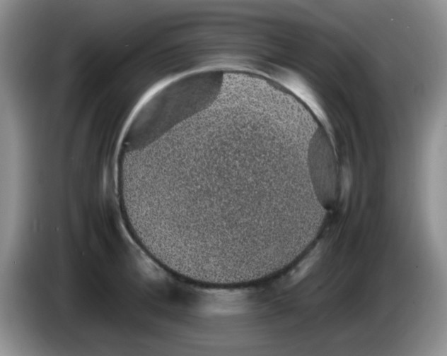 X0000083580996200703091654