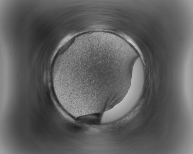 X0000083580997200703091654