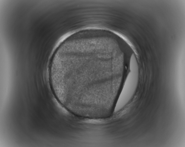 X0000083580998200703091654