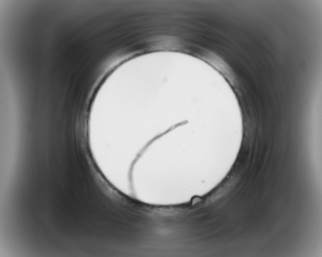 X0000083581000200703091654