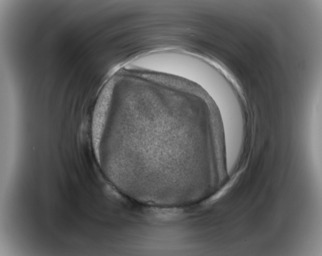 X0000083581001200703091654