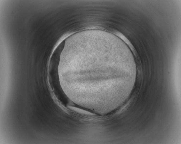 X0000083581002200703091654