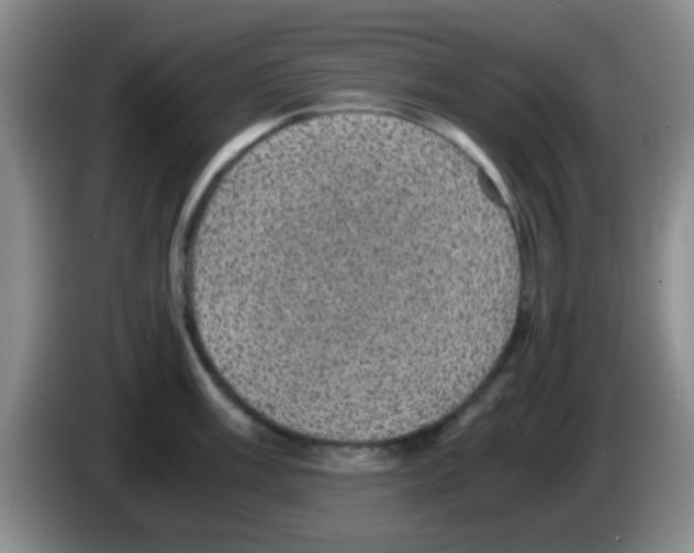 X0000083581003200703091654