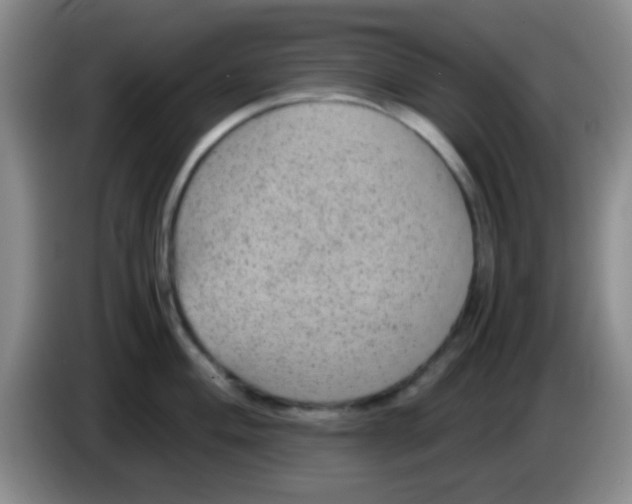 X0000083581004200703091654
