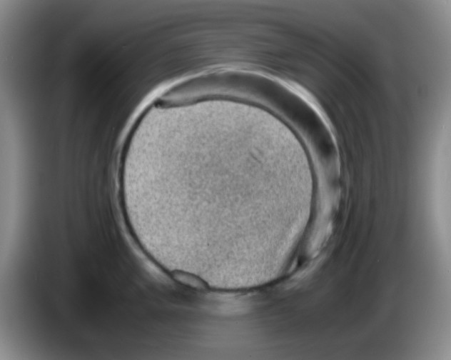 X0000083581005200703091654