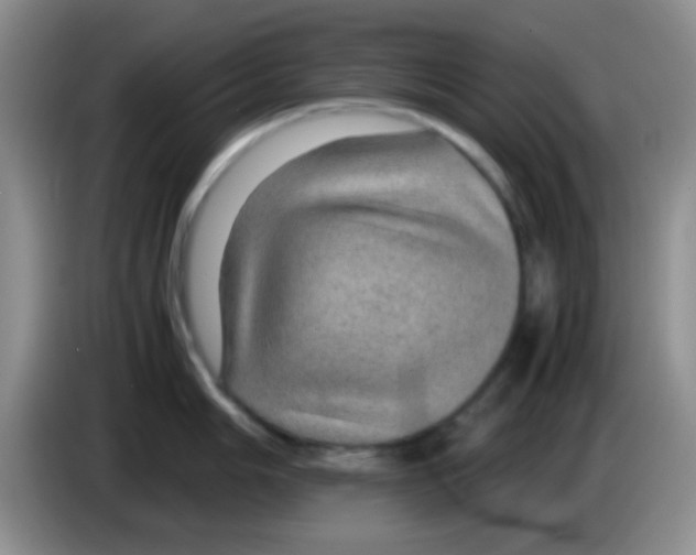 X0000083581006200703091654