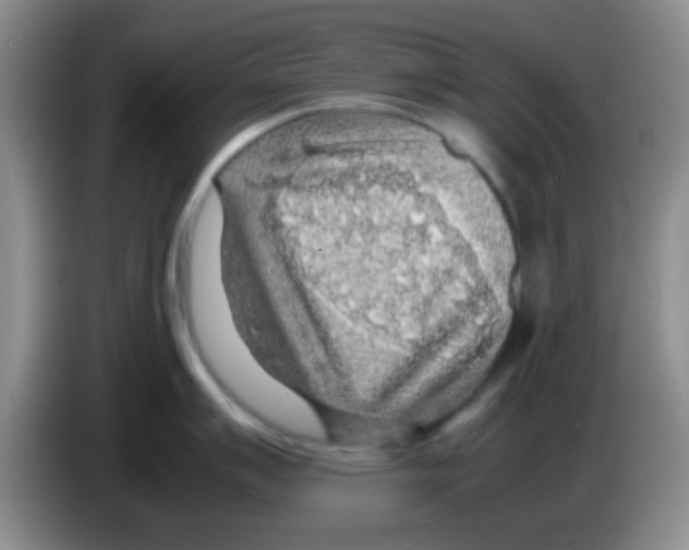 X0000083581007200703091654