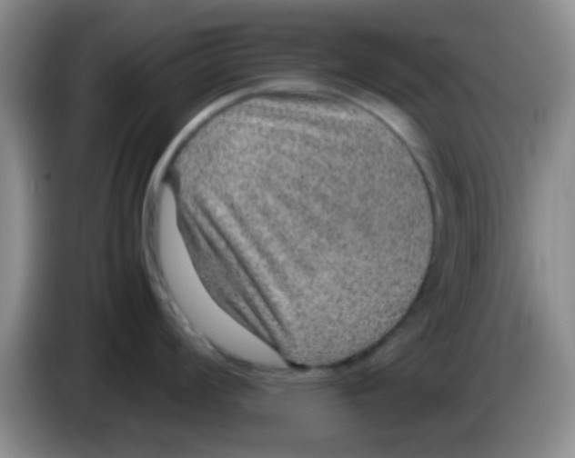 X0000083581008200703091654