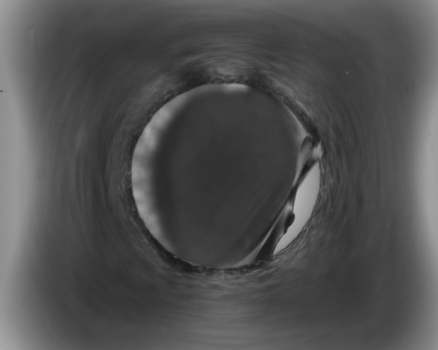 X0000083581009200703091654