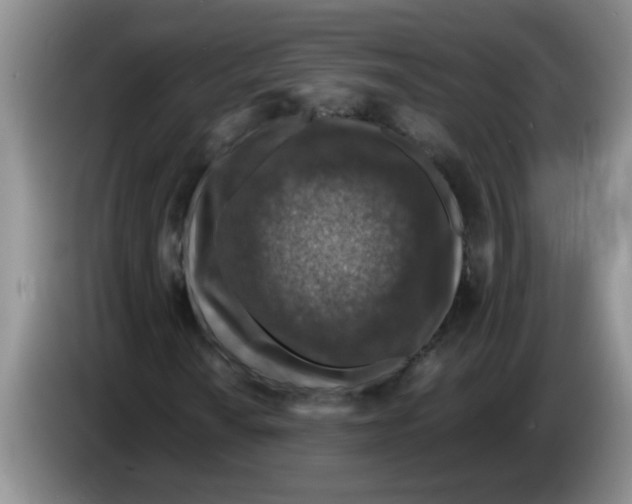 X0000083581010200703091654