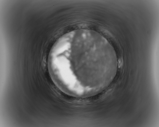 X0000083581011200703091654