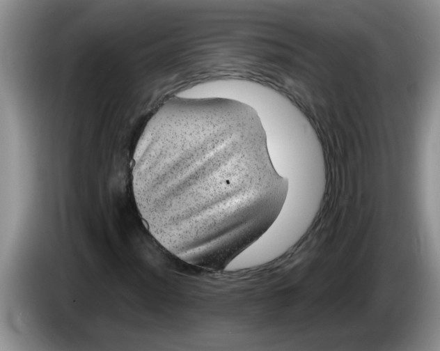 X0000083581012200703091654