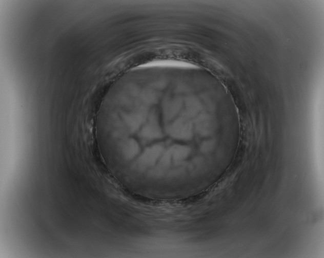 X0000083581013200703091654