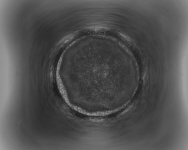 X0000083581014200703091654