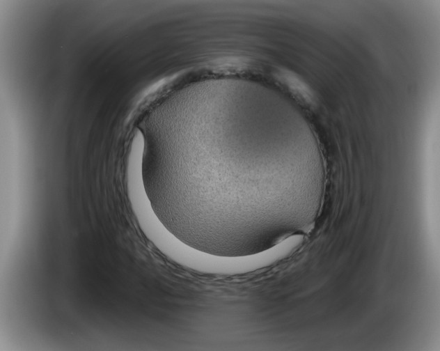 X0000083581016200703091654