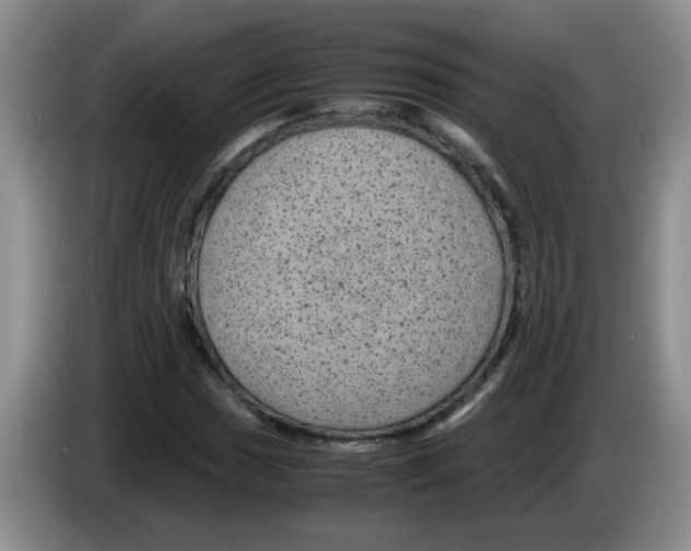 X0000083581017200703091654